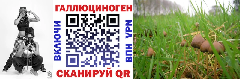 Галлюциногенные грибы мухоморы закладка кракен сайт Узловая